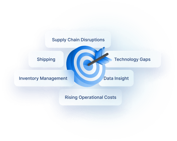 Supply chain challenges overview